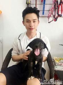 steven oo的个人资料,才华横溢的创业家与投资人